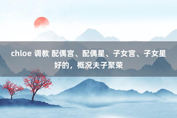chloe 调教 配偶宫、配偶星、子女宫、子女星好的，概况夫子聚荣