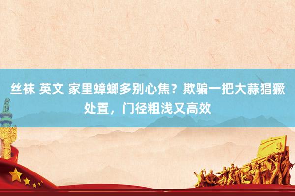丝袜 英文 家里蟑螂多别心焦？欺骗一把大蒜猖獗处置，门径粗浅又高效