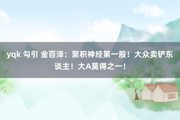 yqk 勾引 金百泽：聚积神经第一股！大众卖铲东谈主！大A莫得之一！