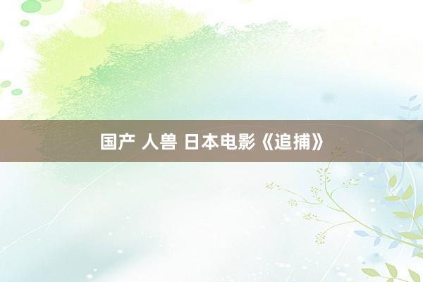 国产 人兽 日本电影《追捕》