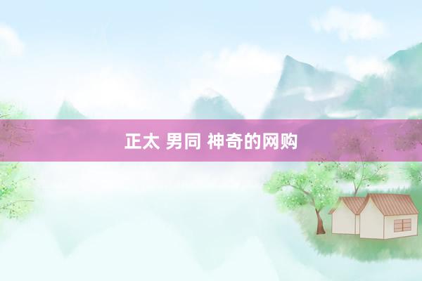 正太 男同 神奇的网购