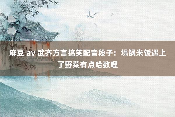 麻豆 av 武齐方言搞笑配音段子：塌锅米饭遇上了野菜有点哈数哩